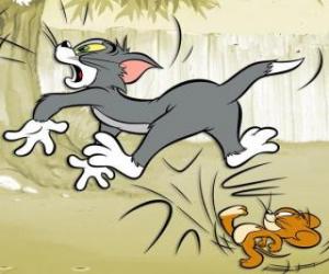 yapboz Jerry Tom arkada bir tekme verir